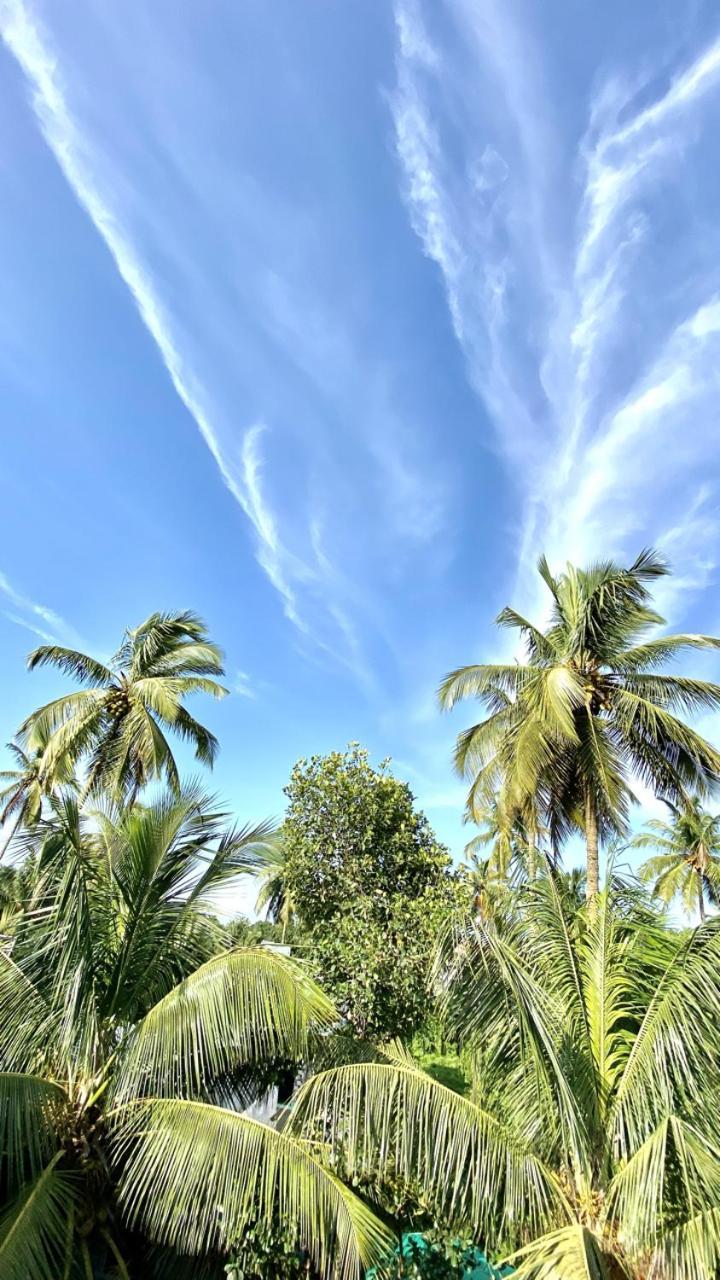 Bsg Stay - Turtle Beach Morjim Goa Exterior foto